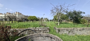 Terreno R�stico T0 - Currelos, Carregal do Sal, Viseu - Miniatura: 21/24