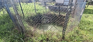 Terreno R�stico T0 - Currelos, Carregal do Sal, Viseu - Miniatura: 23/24