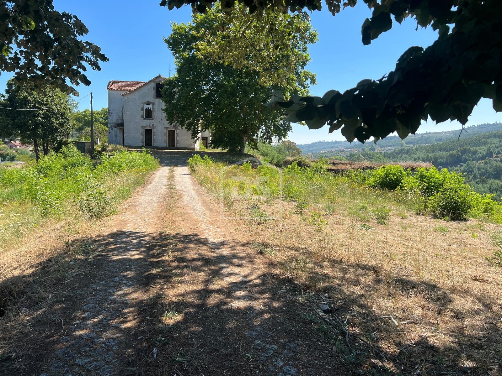 Quinta T0 - Nelas, Nelas, Viseu - Miniatura: 9/24