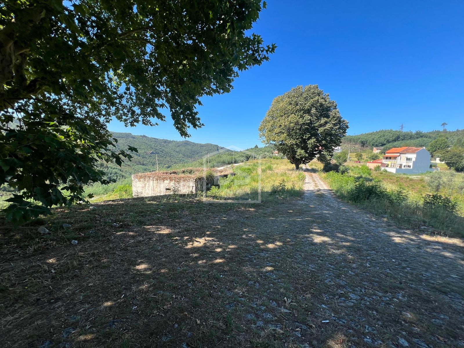 Quinta T0 - Nelas, Nelas, Viseu - Miniatura: 19/24
