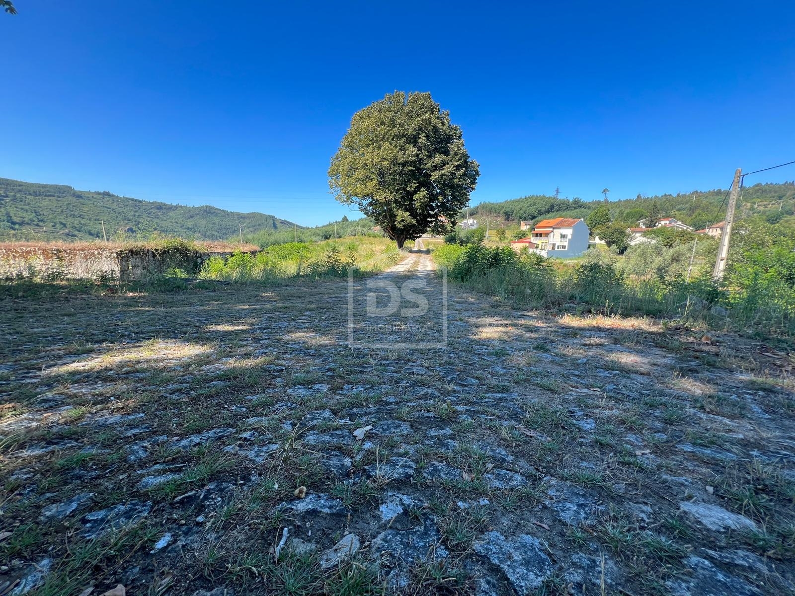Quinta T0 - Nelas, Nelas, Viseu - Miniatura: 20/24