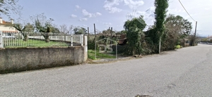 Terreno R�stico T0 - Currelos, Carregal do Sal, Viseu - Miniatura: 20/24