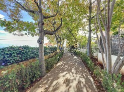 Quinta T5 - Canhas, Ponta do Sol, Ilha da Madeira - Miniatura: 19/33