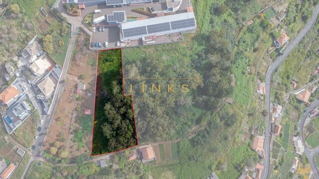 Terreno R�stico T0 - Quinta Grande, C�mara de Lobos, Ilha da Madeira - Imagem grande