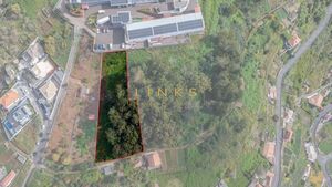 Terreno R�stico T0 - Quinta Grande, C�mara de Lobos, Ilha da Madeira