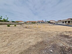 Terreno Rstico T0 - Porto Santo, Porto Santo, Ilha da Madeira - Miniatura: 7/21