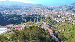 Terreno R�stico T0 - Estreito C�mara de Lobos, C�mara de Lobos, Ilha da Madeira - Miniatura: 4/6