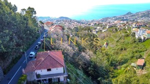 Terreno R�stico T0 - Estreito C�mara de Lobos, C�mara de Lobos, Ilha da Madeira - Miniatura: 5/6