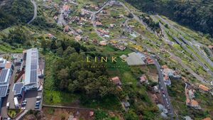 Terreno R�stico T0 - Quinta Grande, C�mara de Lobos, Ilha da Madeira - Miniatura: 1/8