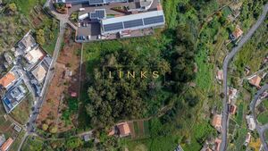 Terreno R�stico T0 - Quinta Grande, C�mara de Lobos, Ilha da Madeira - Miniatura: 2/8