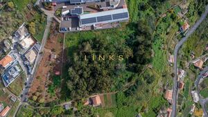 Terreno R�stico T0 - Quinta Grande, C�mara de Lobos, Ilha da Madeira - Miniatura: 6/8