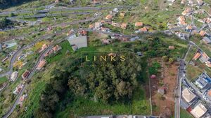 Terreno R�stico T0 - Quinta Grande, C�mara de Lobos, Ilha da Madeira - Miniatura: 7/8