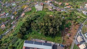 Terreno R�stico T0 - Quinta Grande, C�mara de Lobos, Ilha da Madeira - Miniatura: 8/8