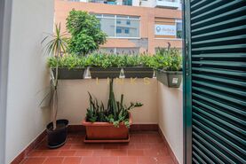 Apartamento T3 - S�o Martinho, Funchal, Ilha da Madeira - Miniatura: 21/21