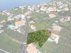 Terreno Rstico T0 - Arco da Calheta, Calheta (Madeira), Ilha da Madeira - Miniatura: 4/16