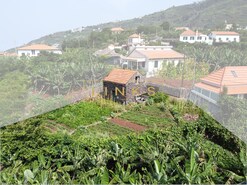 Terreno Rstico T0 - Arco da Calheta, Calheta (Madeira), Ilha da Madeira - Miniatura: 14/16