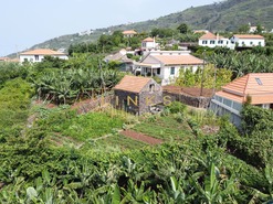 Terreno Rstico T0 - Arco da Calheta, Calheta (Madeira), Ilha da Madeira - Miniatura: 15/16