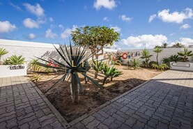 Moradia T3 - Porto Santo, Porto Santo, Ilha da Madeira - Miniatura: 9/53
