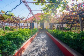 Quinta T0 - Estreito Cmara de Lobos, Cmara de Lobos, Ilha da Madeira - Miniatura: 8/20