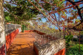 Quinta T0 - Estreito Cmara de Lobos, Cmara de Lobos, Ilha da Madeira - Miniatura: 9/20