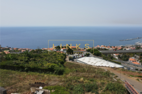 Terreno Rstico T0 - So Gonalo, Funchal, Ilha da Madeira