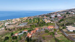 Terreno Rstico T0 - Estreito da Calheta, Calheta (Madeira), Ilha da Madeira - Miniatura: 4/11