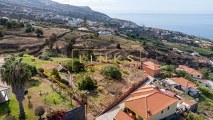 Terreno Rstico T0 - Estreito da Calheta, Calheta (Madeira), Ilha da Madeira - Miniatura: 10/11
