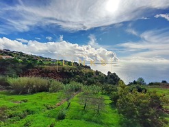 Moradia T5 - Prazeres, Calheta (Madeira), Ilha da Madeira - Miniatura: 24/26