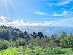Moradia T5 - Prazeres, Calheta (Madeira), Ilha da Madeira - Miniatura: 25/26