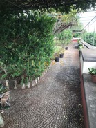 Quinta T4 - S�o Martinho, Funchal, Ilha da Madeira - Miniatura: 14/32