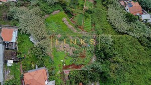 Terreno Rstico T0 - Santo Antnio, Funchal, Ilha da Madeira - Miniatura: 6/12