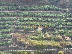 Terreno R�stico T0 - Tabua, Ribeira Brava, Ilha da Madeira - Miniatura: 11/18