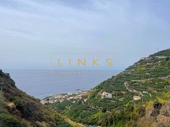 Terreno R�stico T0 - Tabua, Ribeira Brava, Ilha da Madeira - Miniatura: 14/18