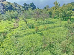Moradia T5 - Prazeres, Calheta (Madeira), Ilha da Madeira - Miniatura: 26/26