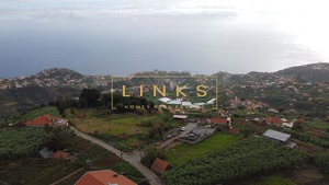 Terreno Rstico T0 - Ponta do Sol, Ponta do Sol, Ilha da Madeira - Miniatura: 5/5