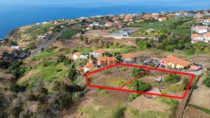 Terreno Rstico T0 - Estreito da Calheta, Calheta (Madeira), Ilha da Madeira - Miniatura: 1/12
