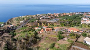 Terreno Rstico T0 - Estreito da Calheta, Calheta (Madeira), Ilha da Madeira - Miniatura: 9/12