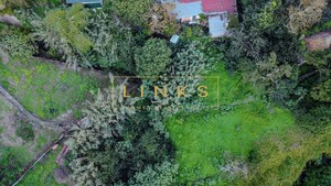 Terreno R�stico T0 - Cani�o, Santa Cruz, Ilha da Madeira - Miniatura: 7/14