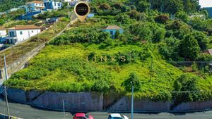 Terreno R�stico T0 - Quinta Grande, C�mara de Lobos, Ilha da Madeira - Miniatura: 5/20