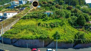 Terreno R�stico T0 - Quinta Grande, C�mara de Lobos, Ilha da Madeira - Miniatura: 12/20