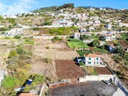 Terreno Rstico - Campanario, Ribeira Brava, Ilha da Madeira - Miniatura: 2/8