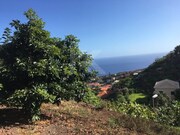 Terreno Rstico - Cmara de Lobos, Cmara de Lobos, Ilha da Madeira - Miniatura: 3/9