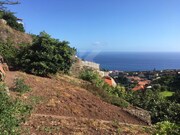 Terreno Rstico - Cmara de Lobos, Cmara de Lobos, Ilha da Madeira - Miniatura: 7/9