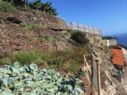 Terreno Rstico - Cmara de Lobos, Cmara de Lobos, Ilha da Madeira - Miniatura: 8/9