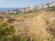 Terreno Rstico - Canio, Santa Cruz, Ilha da Madeira - Miniatura: 2/2