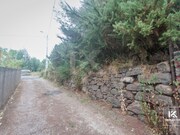 Terreno Rstico - Camacha, Santa Cruz, Ilha da Madeira - Miniatura: 1/1
