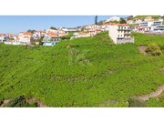 Terreno Urbano - Estreito Cmara de Lobos, Cmara de Lobos, Ilha da Madeira - Miniatura: 4/7