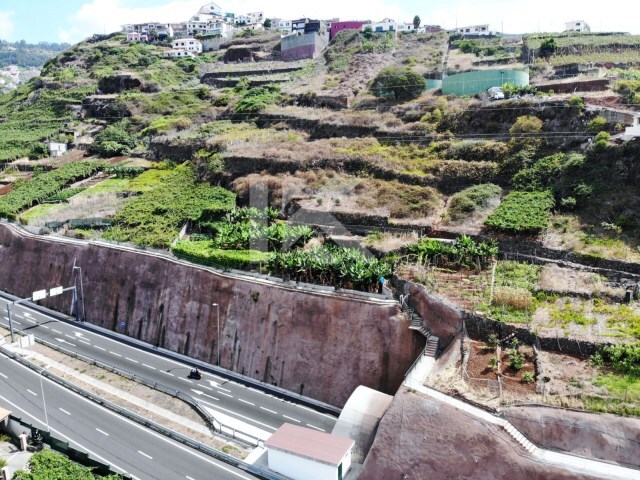 Terreno Rústico - Estreito Câmara de Lobos, Câmara de Lobos, Ilha da Madeira - Imagem grande