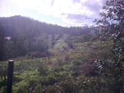 Terreno Rstico - Jardim da Serra, Cmara de Lobos, Ilha da Madeira - Miniatura: 1/4