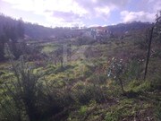 Terreno Rstico - Jardim da Serra, Cmara de Lobos, Ilha da Madeira - Miniatura: 3/4